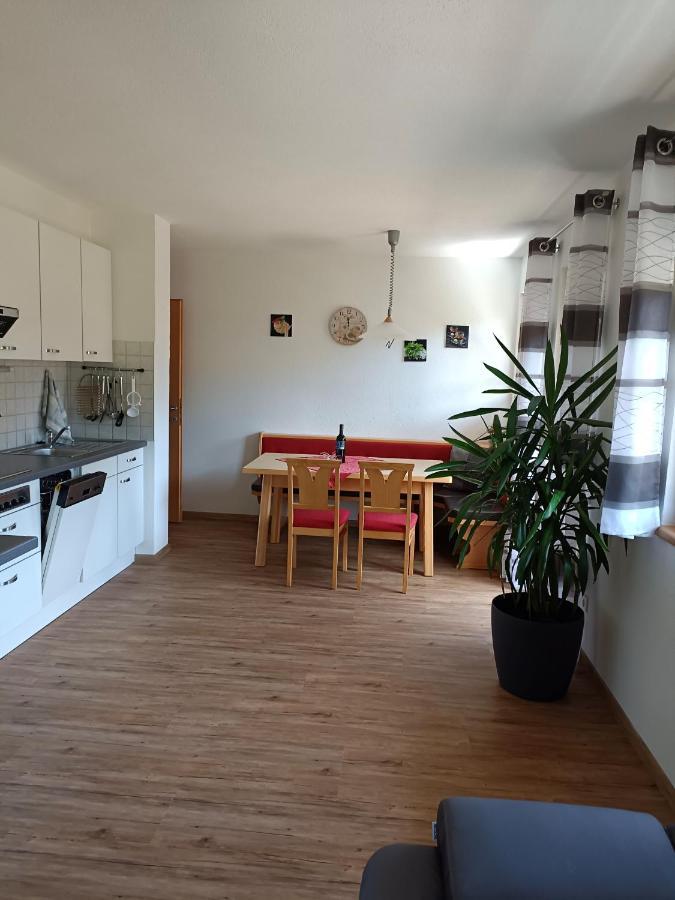 דירות לרמוס Haus Gipfelblick מראה חיצוני תמונה
